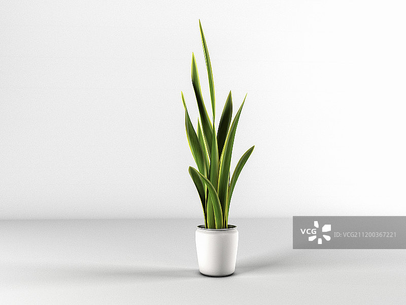 盆景花卉图片素材