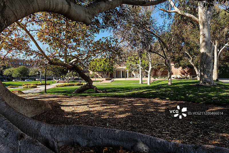 加州大学洛杉矶分校校园风光图片素材