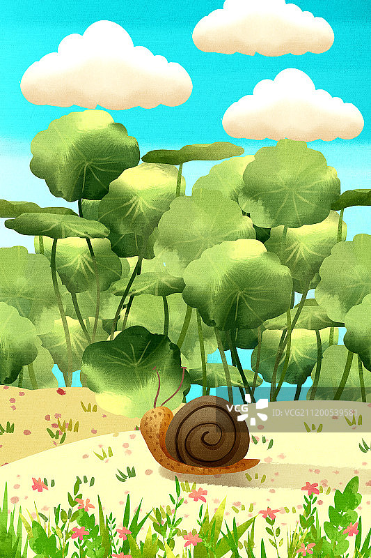 小清新风格野外蜗牛图片素材
