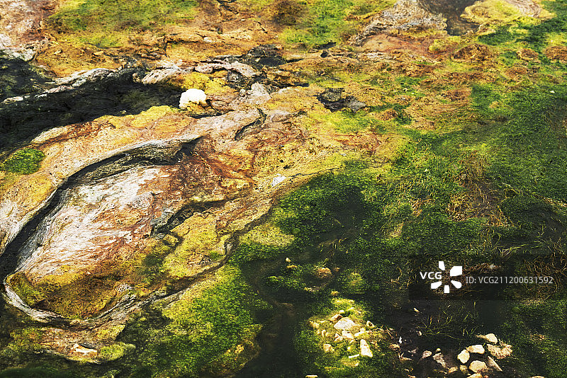 玛多县风光,海拔4300米，极度缺氧,地处黄河源头图片素材