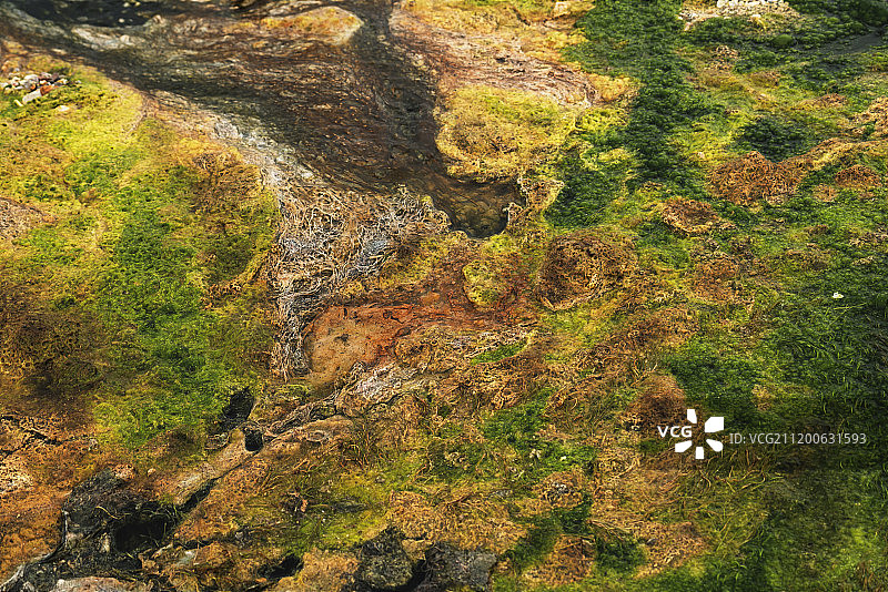 玛多县风光,海拔4300米，极度缺氧,地处黄河源头图片素材