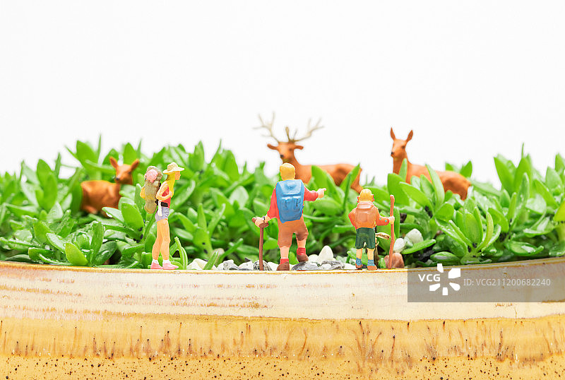 春天户外大自然徒步旅游看鹿图片素材