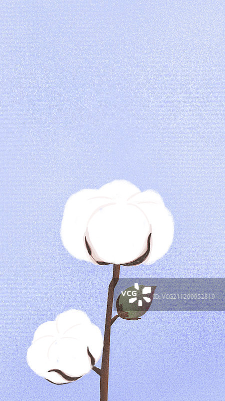 小清新手机壁纸棉花图片素材
