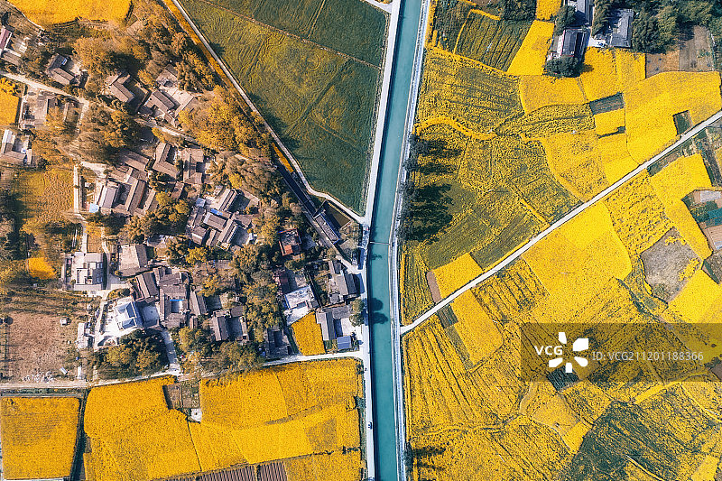 四川崇州油菜花航拍图片素材