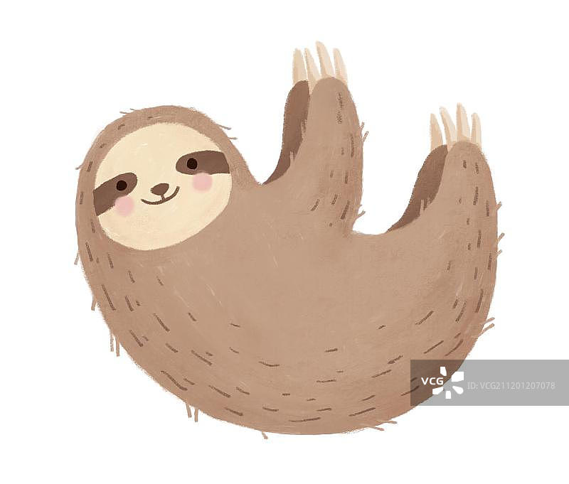 可爱树懒图片素材