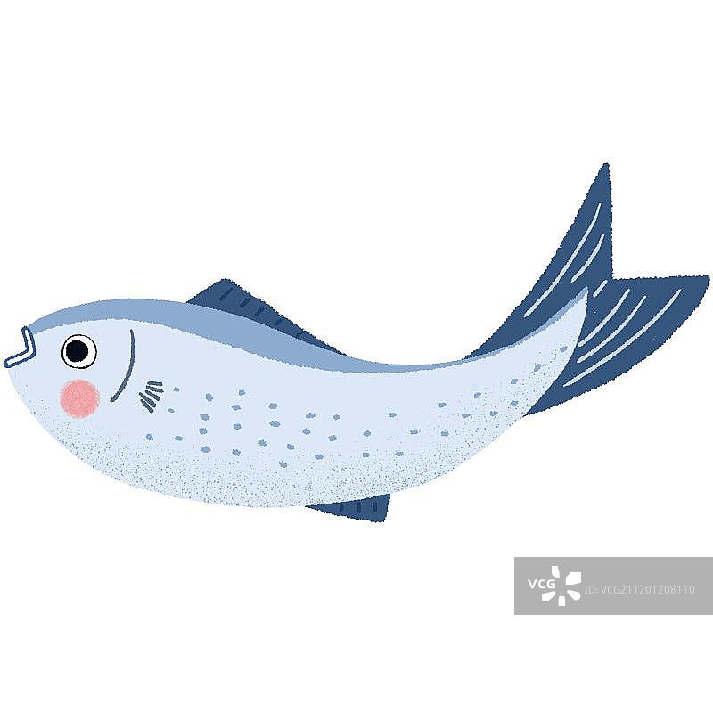 新鲜的鱼图片素材