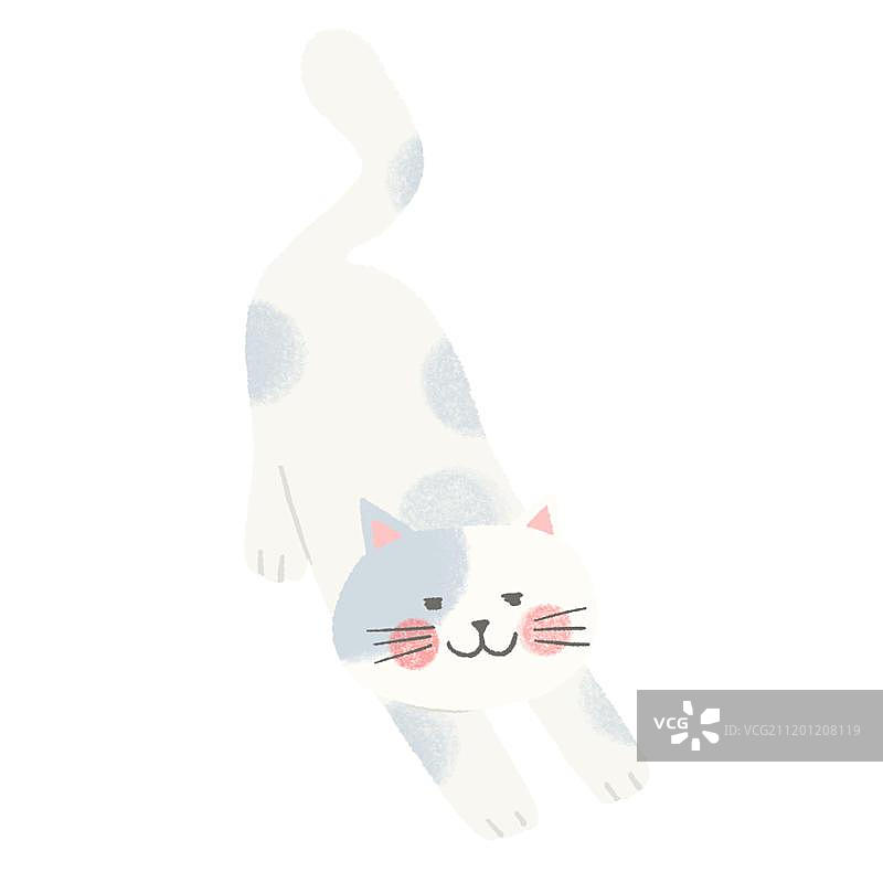 伸懒腰的猫图片素材