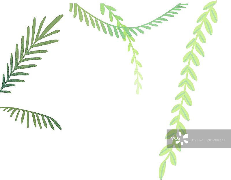 绿色藤蔓图片素材