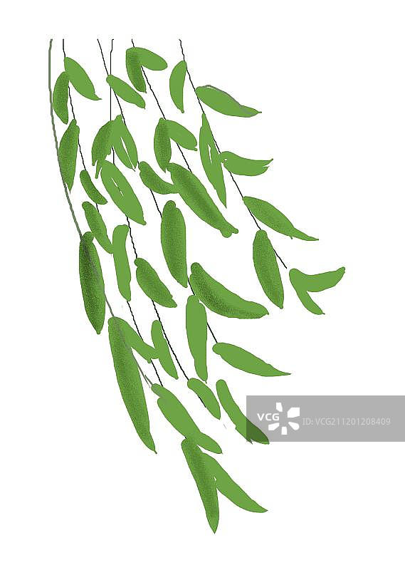 绿叶飘图片素材