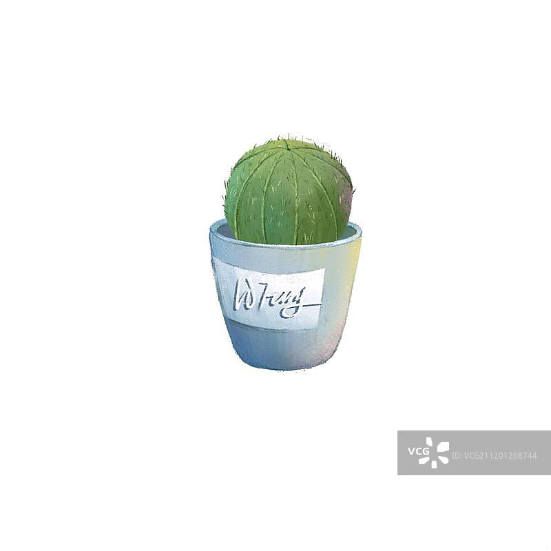 清新绿植图片素材