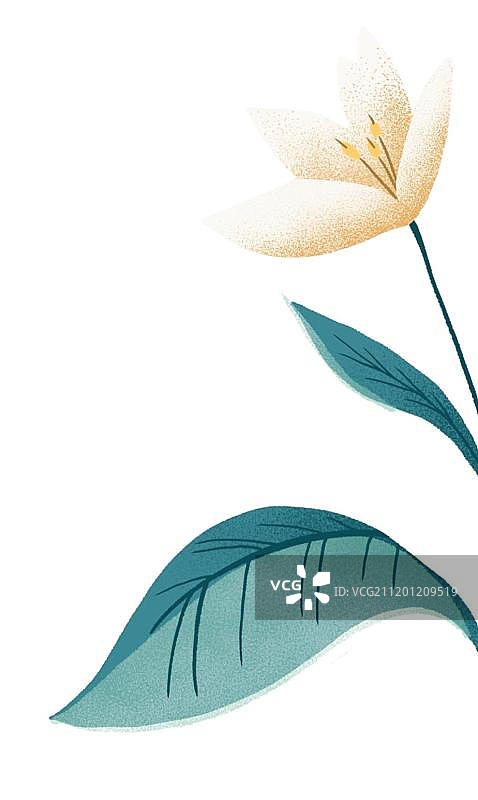 百合花朵装饰图片素材