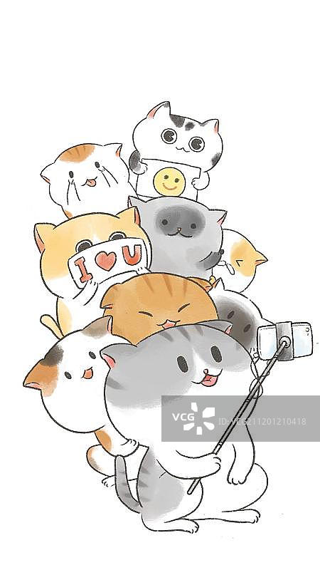 可爱卖萌的猫咪图片素材