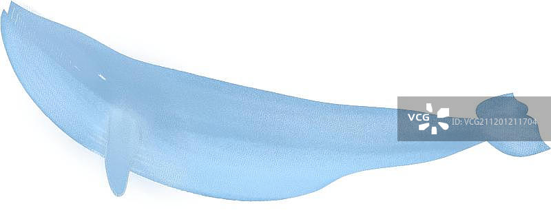 一条游泳的蓝鲸鱼图片素材