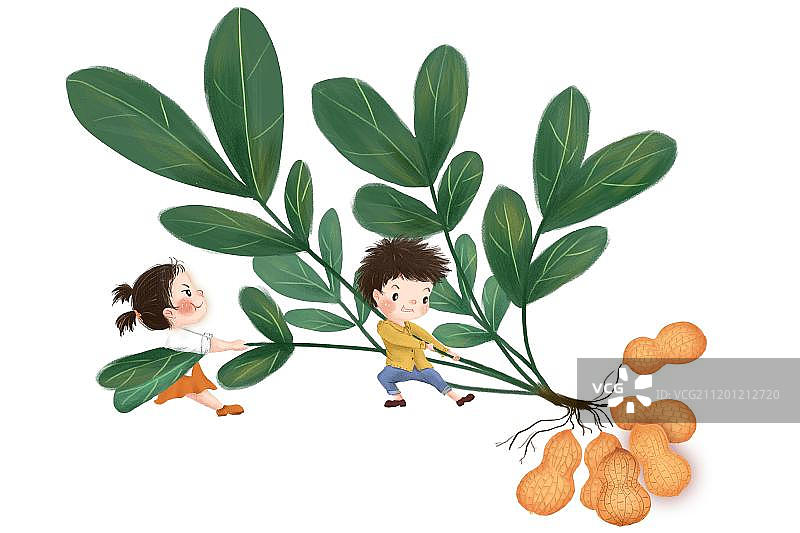 拔花生的男孩女孩图片素材