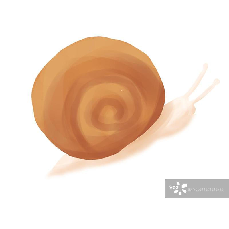 蜗牛图片素材