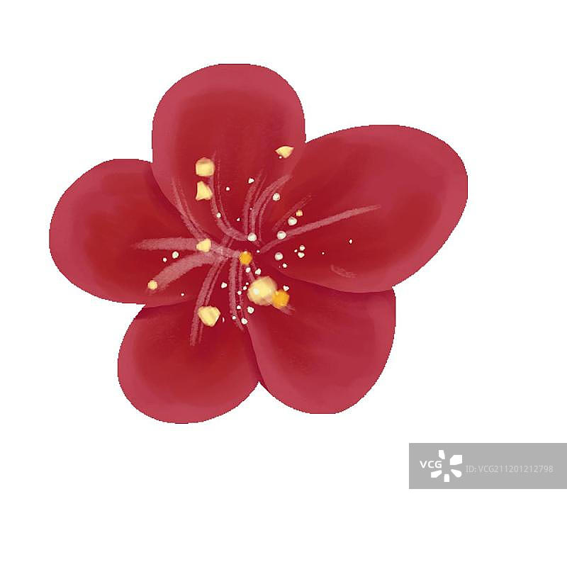 红色梅花3图片素材