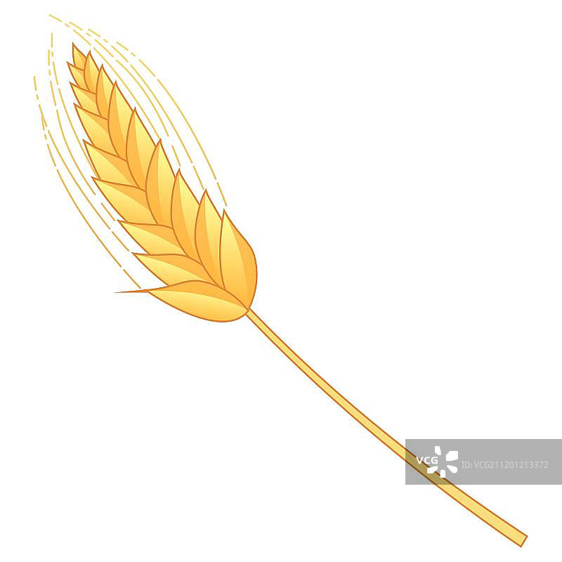 卡通风格的金黄色麦穗图片素材