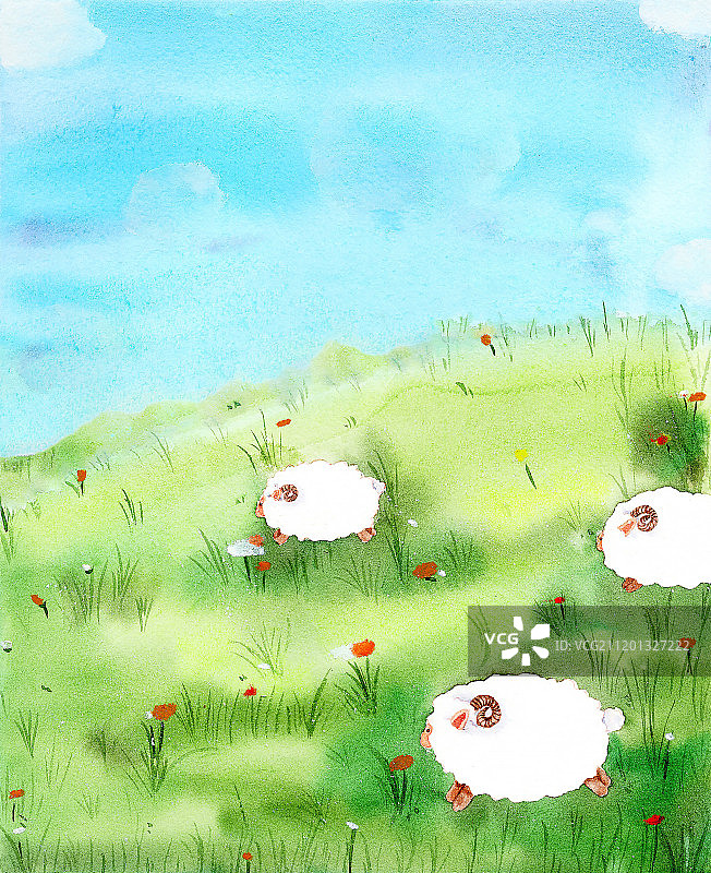 草原绵羊图片素材