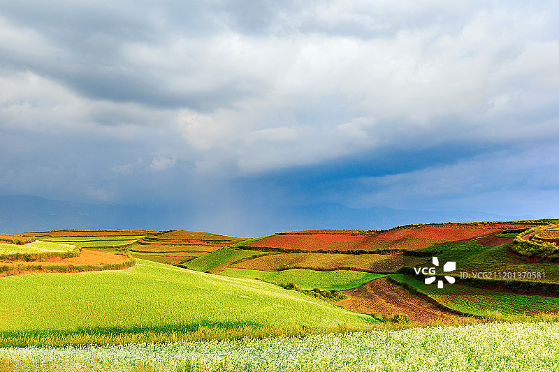 东川红土地风光图片素材