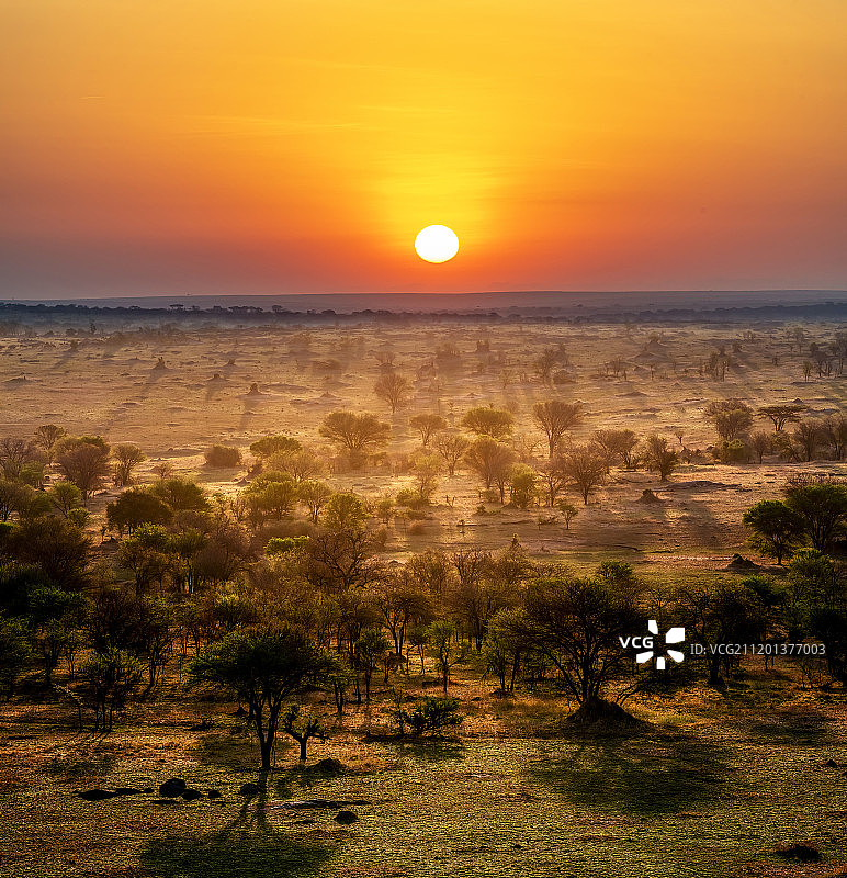 塞伦盖蒂草原日出图片素材