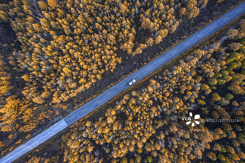 航拍森林和草原上的道路图片素材