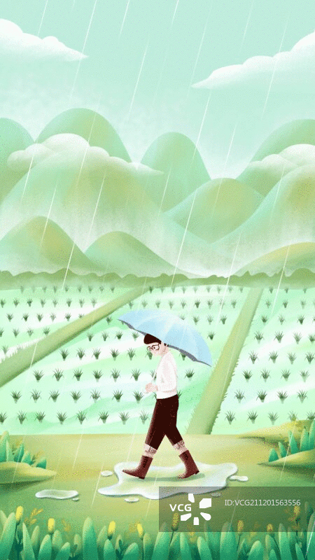 中国传统文化之24节气之春季谷雨图片素材