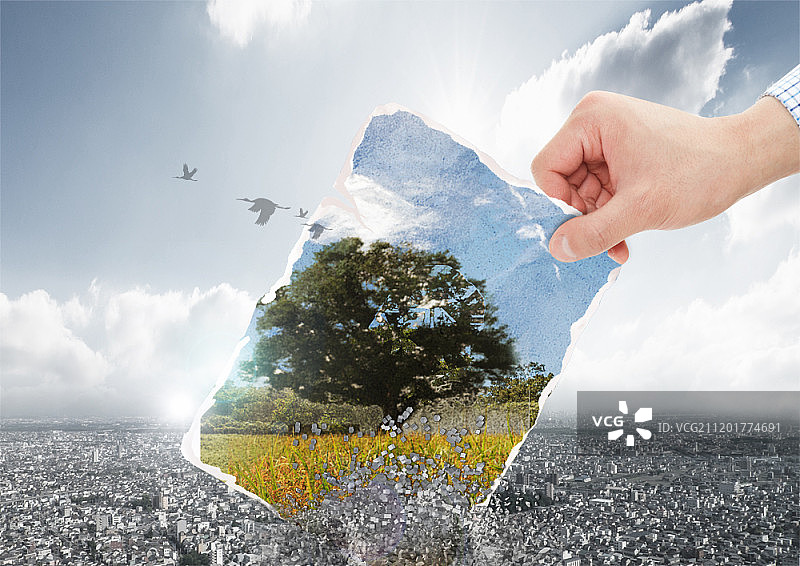 生态与环境概念创意设计图片素材