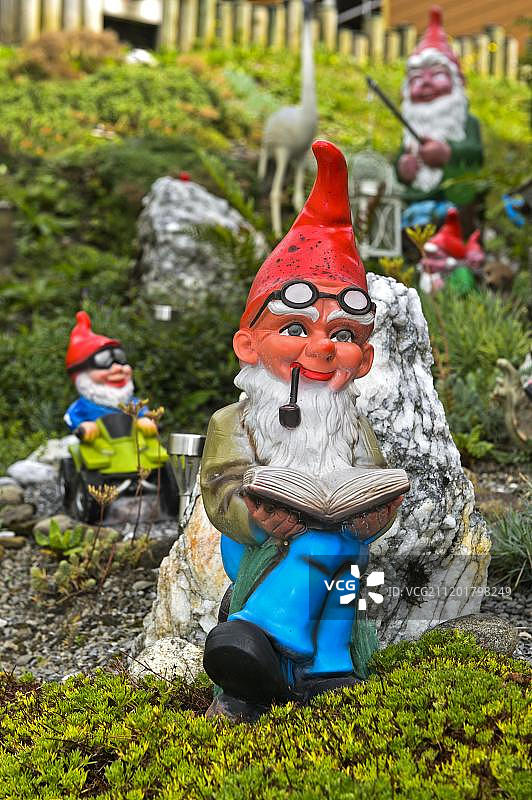 阅读书籍的花园地精，位于瑞士图片素材