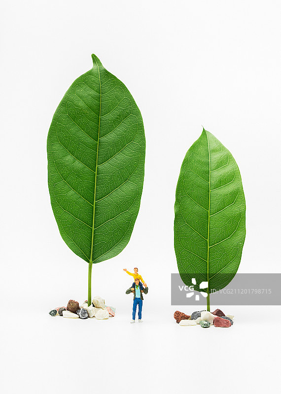 树下叶子父子叠罗汉亲情父亲节图片素材