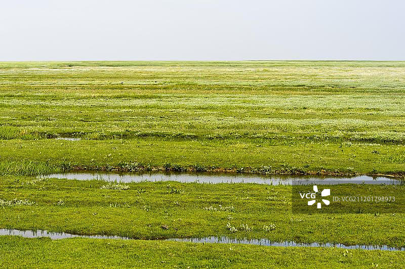 德国石勒苏益格-荷尔斯泰因瓦登海国家公园盐沼海岸风光图片素材