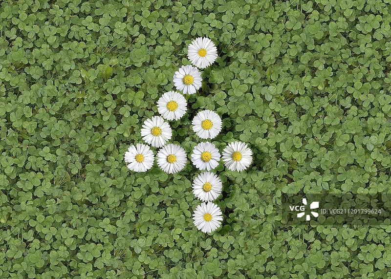 人物模型图片素材