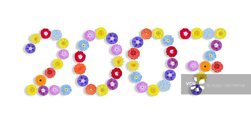 鲜花写成的年份图片素材