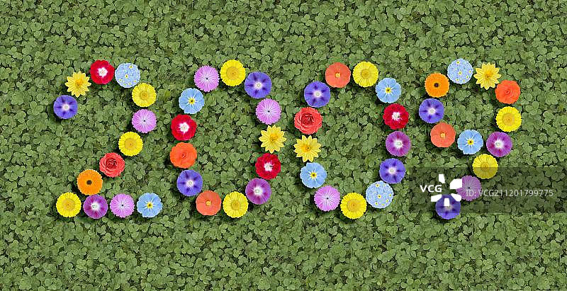 鲜花写成的年份图片素材