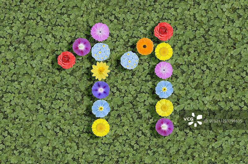 鲜花数字图片素材