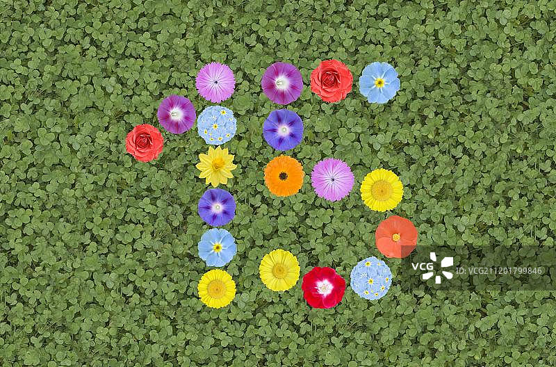 鲜花数字图片素材