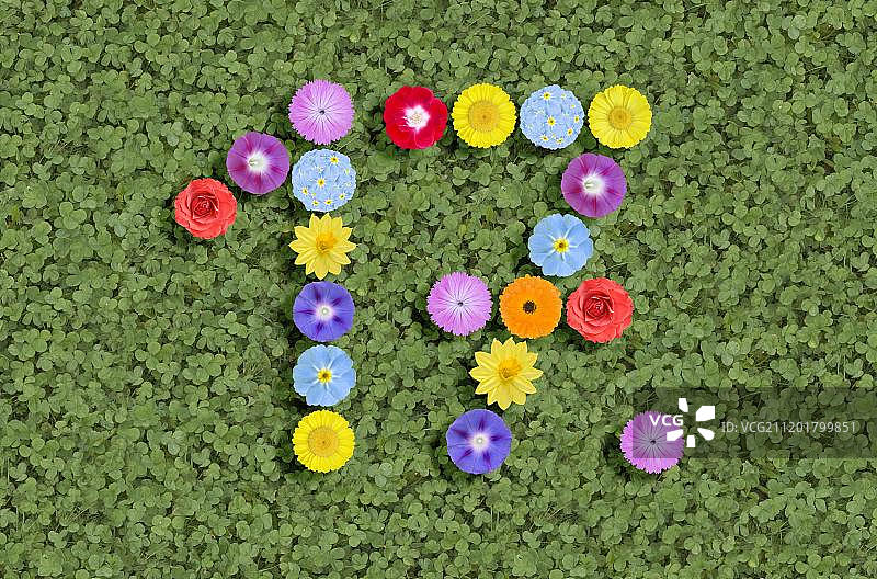 鲜花数字图片素材