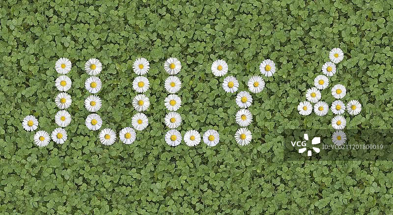 用雏菊写成的7月4日美国独立日图片素材