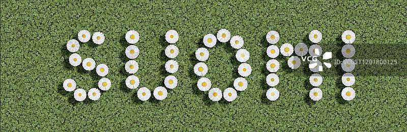 芬兰国家语言图片素材