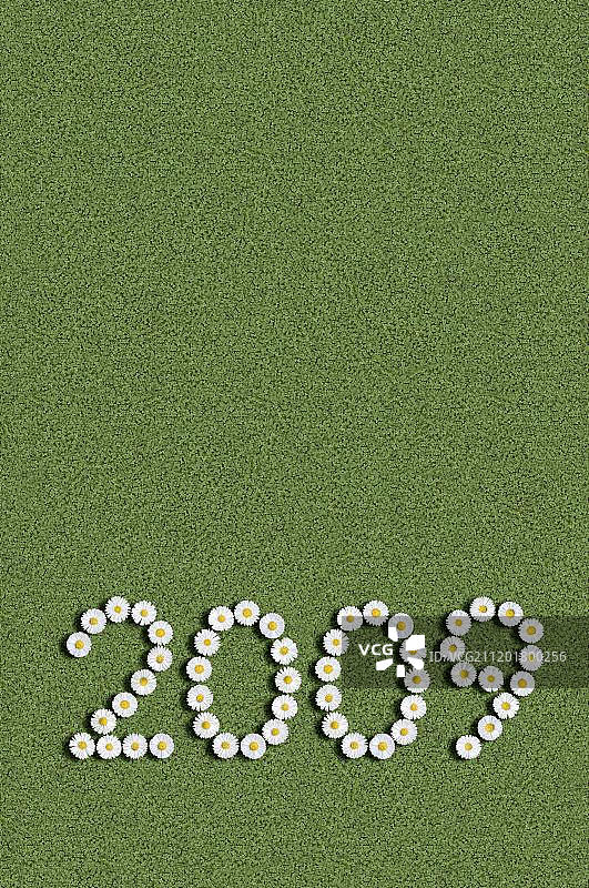 用鲜花写成的2009年图片素材