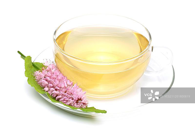 由拳参制成的草药茶图片素材