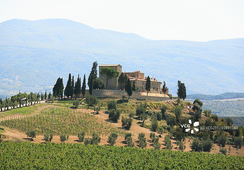圣安蒂莫附近的葡萄酒庄园，意大利托斯卡纳图片素材