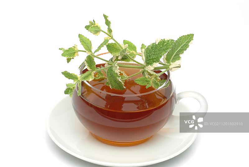 苹果薄荷、菠萝薄荷（Mentha suaveolens）草药茶图片素材