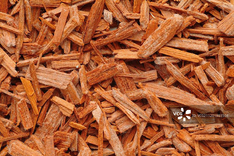 干燥的檀香树皮片，药用植物图片素材