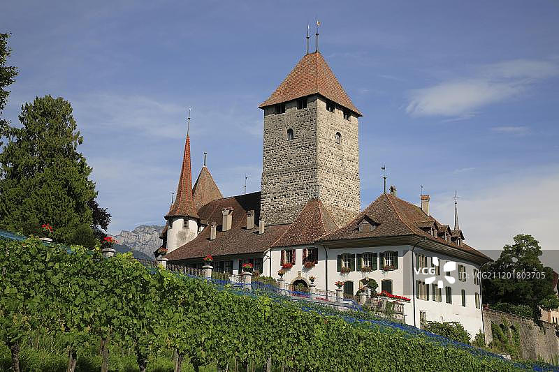 施皮茨城堡，位于瑞士伯尔尼州图恩湖畔图片素材