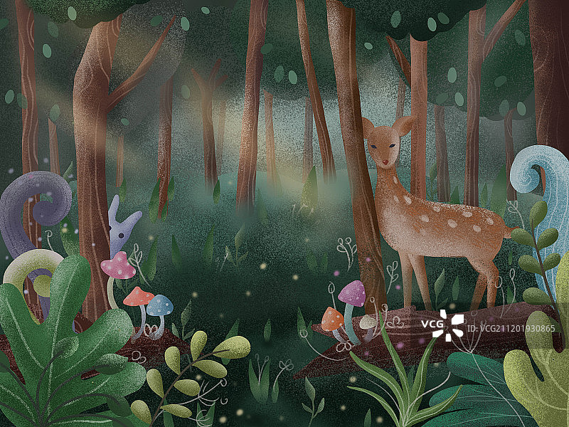 迷雾森林图片素材