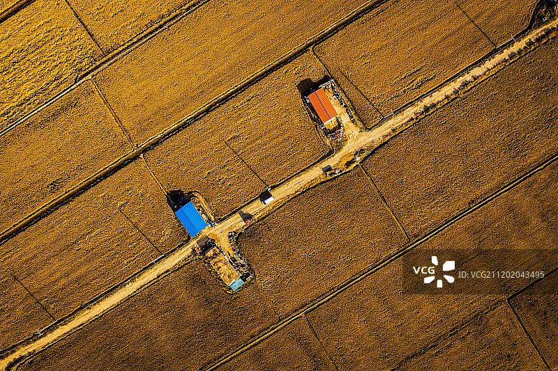 辽宁红海滩田园风光图片素材