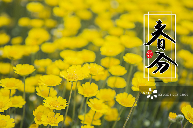 24节气春分图片素材