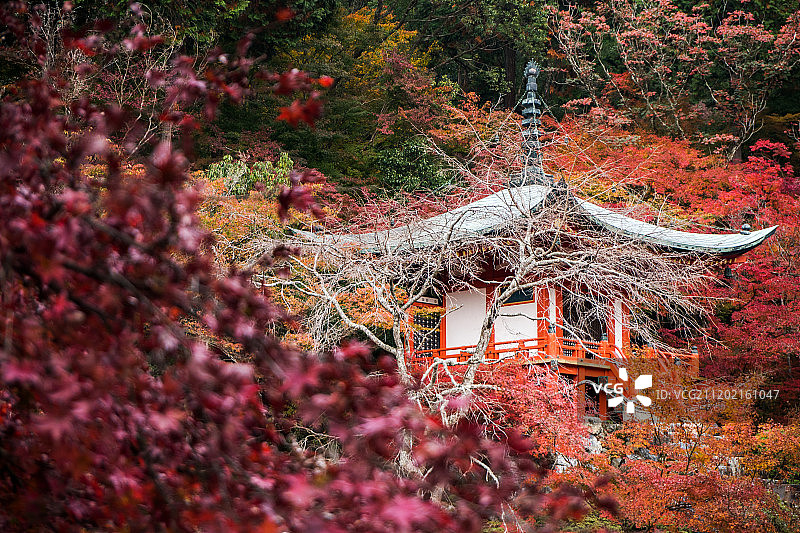 京都醍醐寺风光图片素材