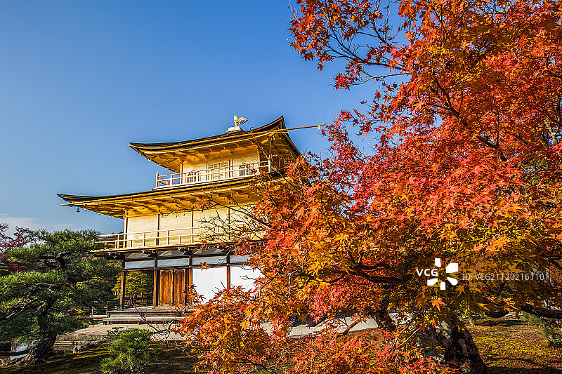 京都金阁寺图片素材