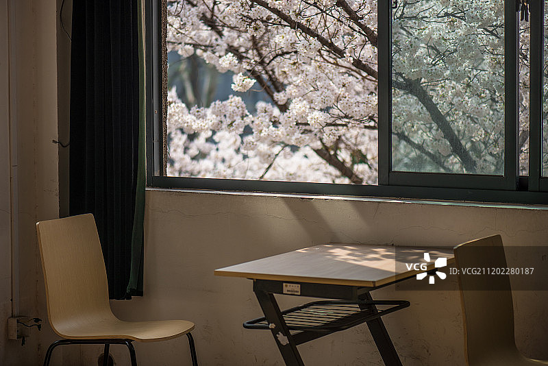 东南大学前工院最美樱花教室图片素材